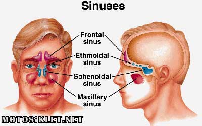 FPSS slide image