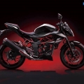 Kawasaki-Z250SL-Naked-2014-007