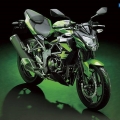 Kawasaki-Z250SL-Naked-2014-013