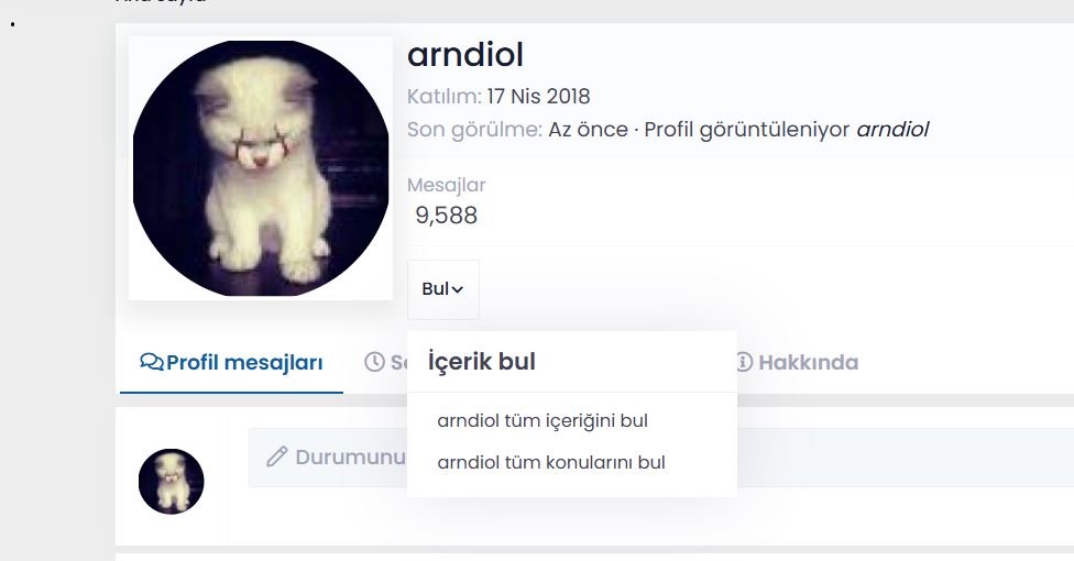 Ekran Alıntısı.JPG