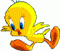 tweety.S nickli yeye ait kullanc resmi (Avatar)