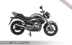 biggsr2501.jpg
