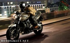 GSF1250_Bandit.jpg