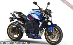 fz6.5.jpg