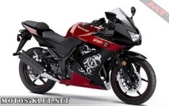 2010kawasakininja250rf.jpg