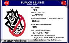 trafik-canavari-ehliyeti.jpg