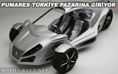 pumarex2010.jpg