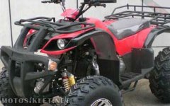 pumarex.jpg