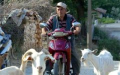 motorize-cobanlar-2010-07-19_m.jpg