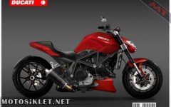 ducatip.jpg