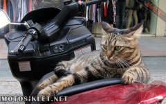 motosikletvekedi01.jpg