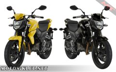 symwolf1252011model.jpg