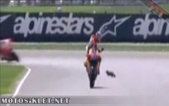 susamurumotogp.jpg