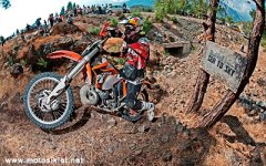 redbullseetoskyturkey2011.jpg