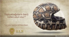 kask-takin-2013.jpg