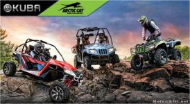 kuba-arctic-cat.jpg