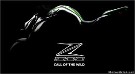 z1000-2014.jpg