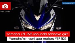 yamaha-r25-2014.jpg