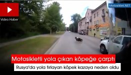 yola-kopek-firlamasi.jpg