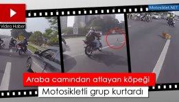 motorcular-kopegi-kurtardi.jpg