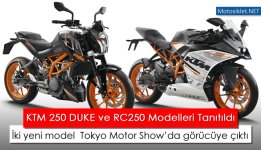 ktm-250-duke-rc250.jpg