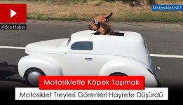 motosiklet-ile-kopek-tasimak.jpg