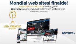 mondial-altin-orumcek.jpg
