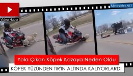 motosiklet-ile-kopege-carpma-kazasi.jpg