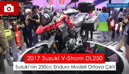 2017-Suzuki-V-Strom-DL250.jpg
