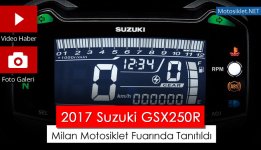 Suzuki-GSX250R-2017.jpg