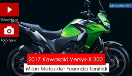 Kawasaki-Versys-X-300.jpg