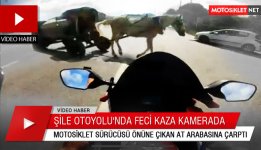 motosiklet-ile-ata-carpti-motorcycle-horse-crash.jpg