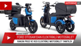 rakun-pro.jpg