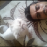 ugur sengul