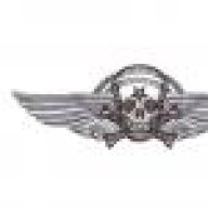 winged skull
