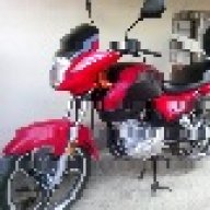 ysnadgzl