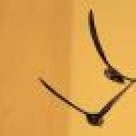 haijin