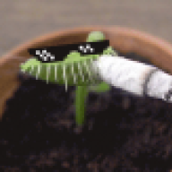 hinugget