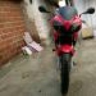 taner4545