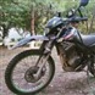 escossie