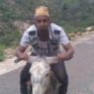 bindiregandi