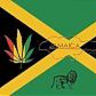Cannabis07