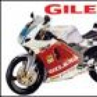 gfr125bursa