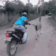 kolestroll