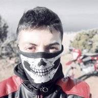 Scalyfly5