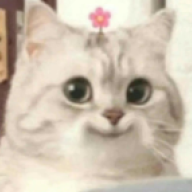 aykutsert