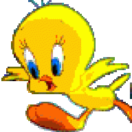 tweety.S