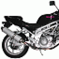 ZEALSUN250CC