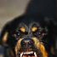 rott