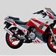 Racing33